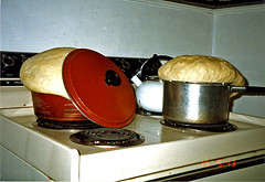 Bread rising in pans